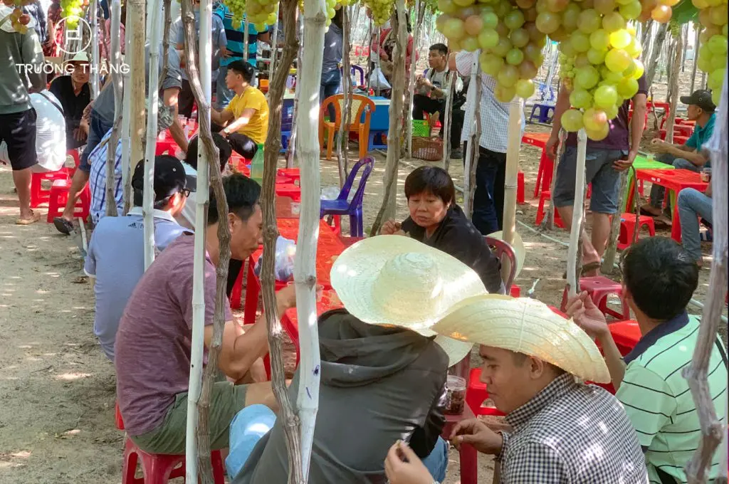 vuon-nho-ninh-thuan