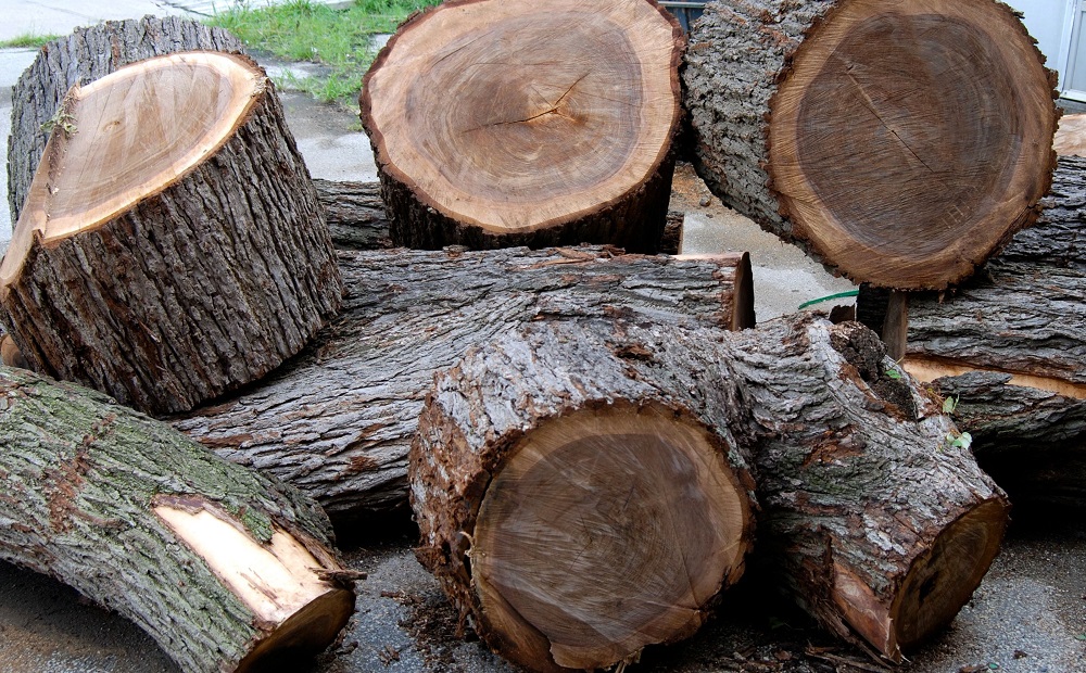 Cách phân biệt các loại cửa gỗ sao, cửa gỗ sấu, cửa gỗ sấy, cửa gỗ sến