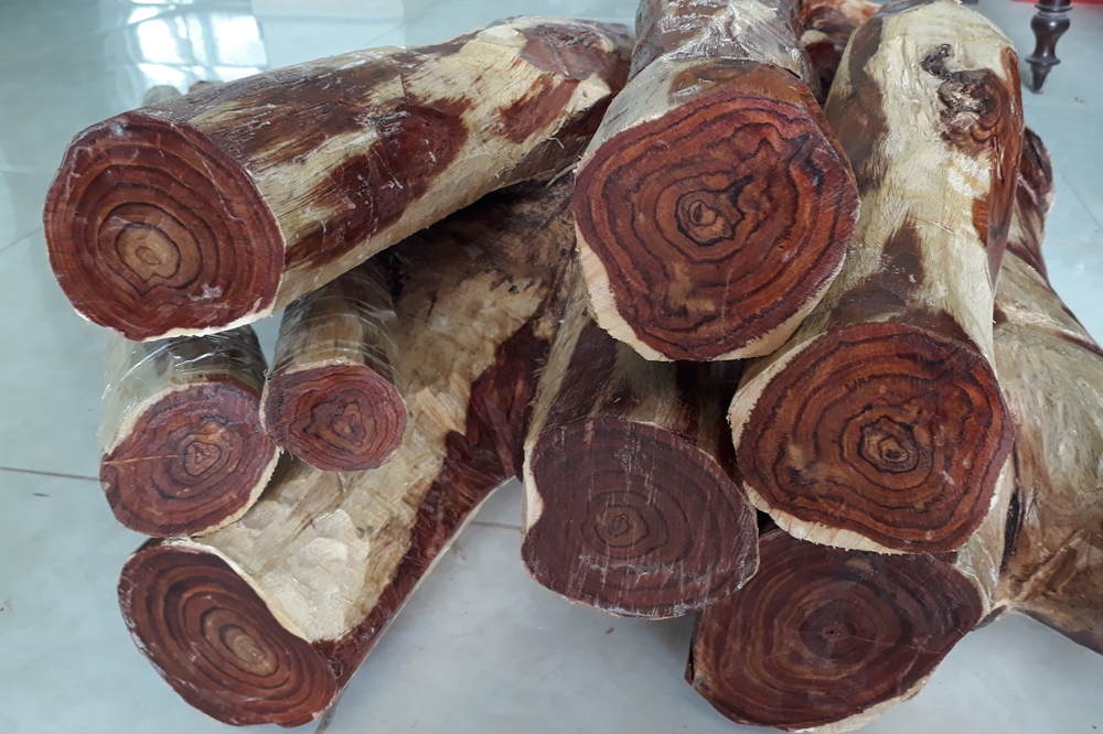 Danh sách 41 loại nội thất gỗ xịn thuộc nhóm 1 tại Việt Nam