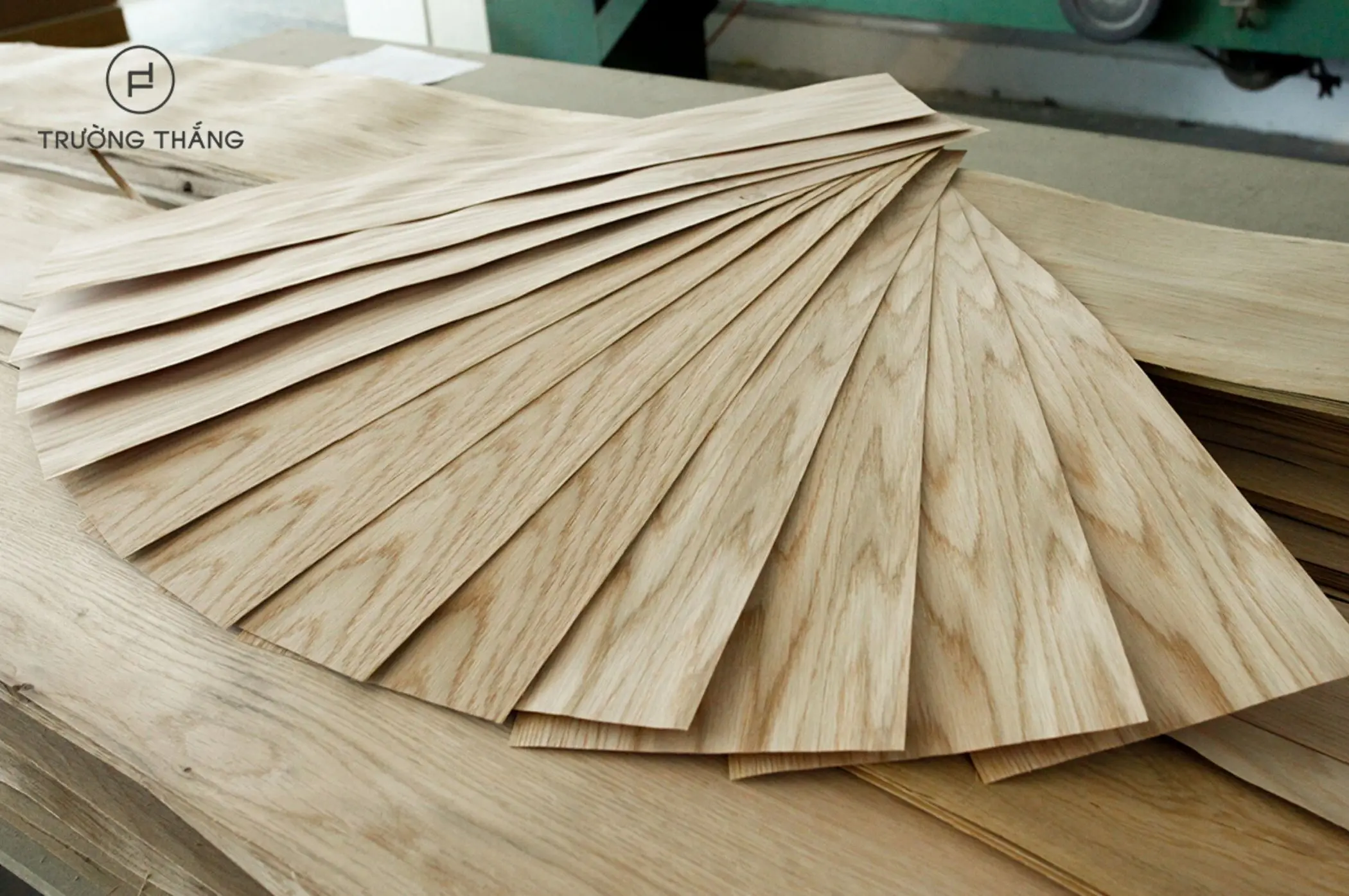 veneer-go veneer-go