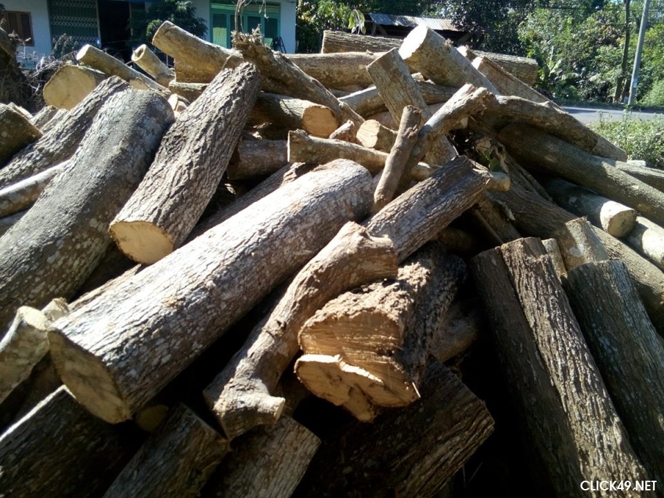 Những điều cần biết trước khi mua nội thất gỗ dâu