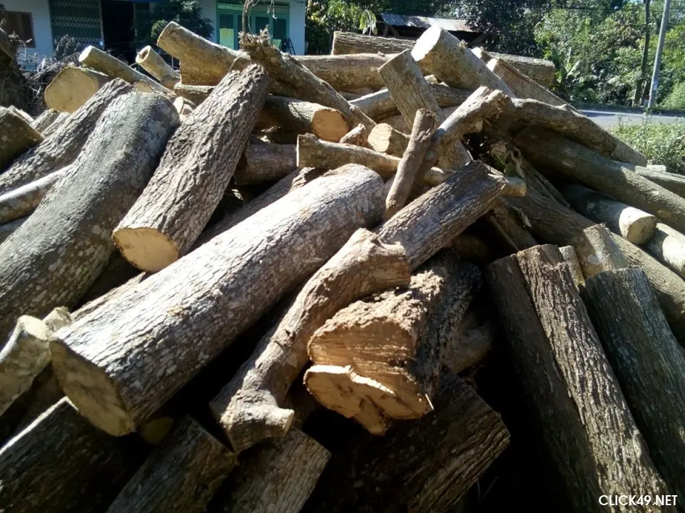 Những điều cần biết trước khi mua nội thất gỗ dâu